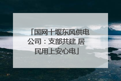 国网十堰东风供电公司：支部共建 居民用上安心电