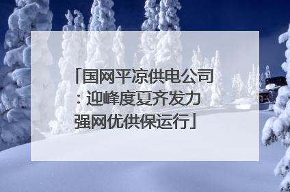 国网平凉供电公司：迎峰度夏齐发力 强网优供保运行