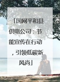 国网平和县供电公司：节能宣传在行动，引领低碳新风尚