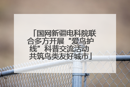 国网新疆电科院联合多方开展“爱鸟护线”科普交流活动 共筑鸟类友好城市