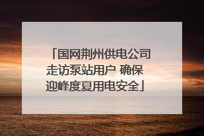 国网荆州供电公司走访泵站用户 确保迎峰度夏用电安全