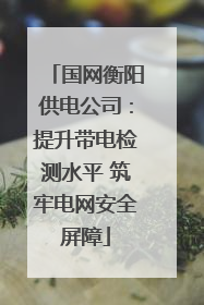 国网衡阳供电公司：提升带电检测水平 筑牢电网安全屏障