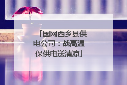 国网西乡县供电公司：战高温保供电送清凉