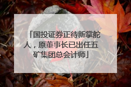国投证券正待新掌舵人，原董事长已出任五矿集团总会计师