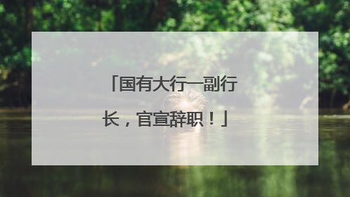 国有大行一副行长，官宣辞职！