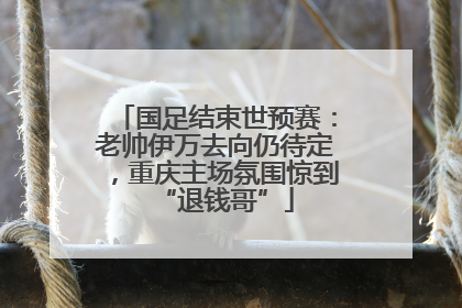 国足结束世预赛：老帅伊万去向仍待定，重庆主场氛围惊到“退钱哥”