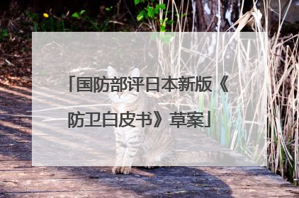 国防部评日本新版《防卫白皮书》草案