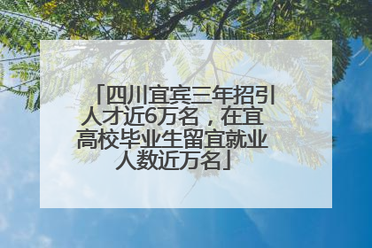 四川宜宾三年招引人才近6万名，在宜高校毕业生留宜就业人数近万名
