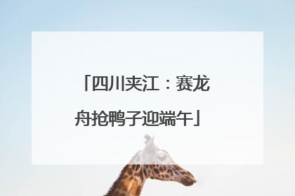 四川夹江：赛龙舟抢鸭子迎端午