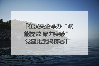 在汉央企举办“赋能提效 聚力突破”党建比武揭榜赛