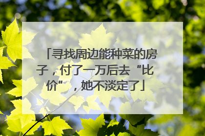 寻找周边能种菜的房子，付了一万后去“比价”，她不淡定了