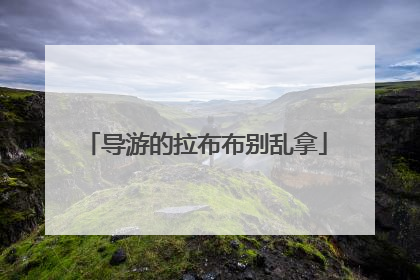 导游的拉布布别乱拿