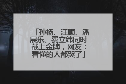 孙杨、汪顺、潘展乐、费立纬同时戴上金牌，网友：看懂的人都哭了