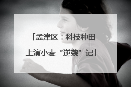 孟津区：科技种田 上演小麦“逆袭”记