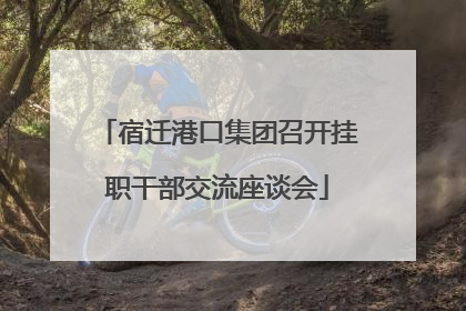 宿迁港口集团召开挂职干部交流座谈会