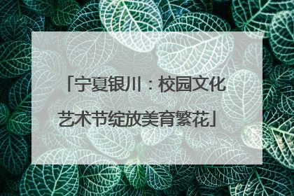 宁夏银川：校园文化艺术节绽放美育繁花