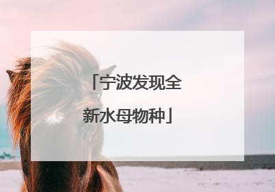宁波发现全新水母物种