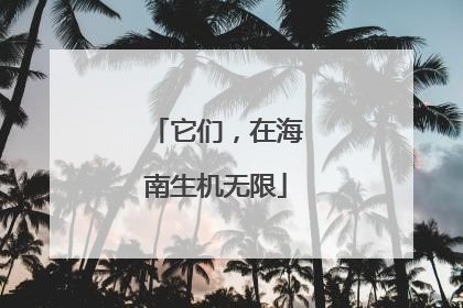 它们，在海南生机无限