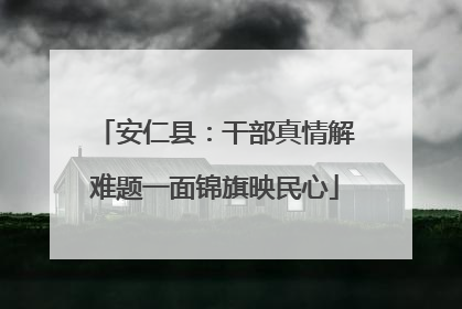 安仁县：干部真情解难题一面锦旗映民心