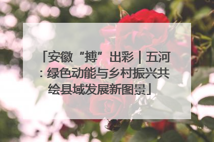 安徽“搏”出彩｜五河：绿色动能与乡村振兴共绘县域发展新图景
