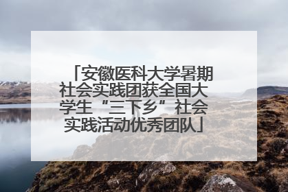 安徽医科大学暑期社会实践团获全国大学生“三下乡”社会实践活动优秀团队