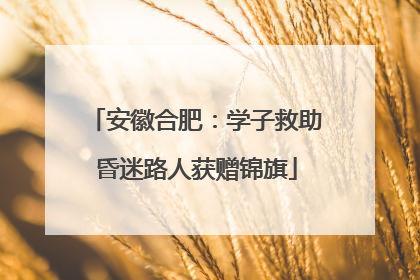 安徽合肥：学子救助昏迷路人获赠锦旗