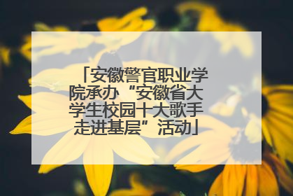 安徽警官职业学院承办“安徽省大学生校园十大歌手走进基层”活动