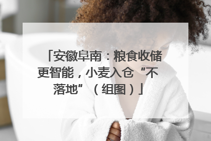 安徽阜南：粮食收储更智能，小麦入仓“不落地”（组图）