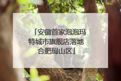 安徽首家泡泡玛特城市旗舰店落地合肥蜀山区