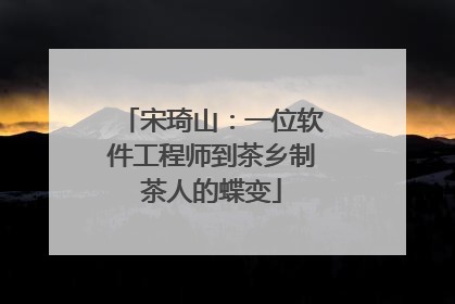 宋琦山：一位软件工程师到茶乡制茶人的蝶变