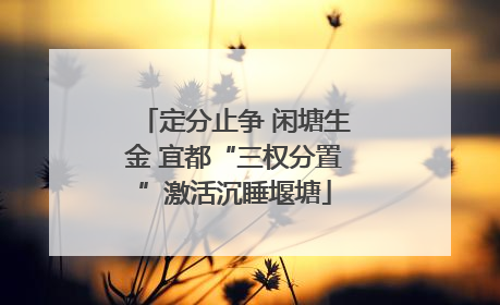 定分止争 闲塘生金 宜都“三权分置”激活沉睡堰塘