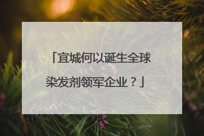 宜城何以诞生全球染发剂领军企业？