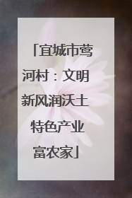宜城市莺河村：文明新风润沃土 特色产业富农家