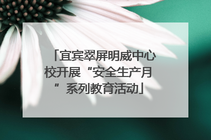 宜宾翠屏明威中心校开展“安全生产月”系列教育活动