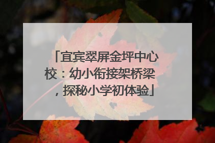 宜宾翠屏金坪中心校：幼小衔接架桥梁，探秘小学初体验