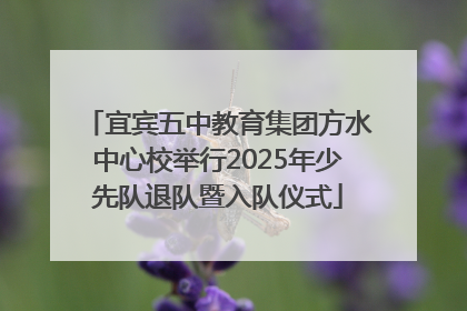 宜宾五中教育集团方水中心校举行2025年少先队退队暨入队仪式
