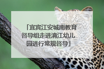 宜宾江安城南教育督导组走进淯江幼儿园进行常规督导