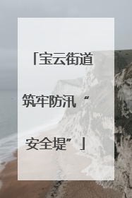 宝云街道筑牢防汛“安全堤”