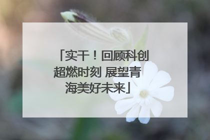 实干！回顾科创超燃时刻 展望青海美好未来