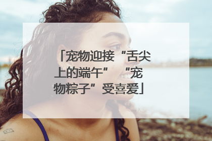 宠物迎接“舌尖上的端午” “宠物粽子”受喜爱