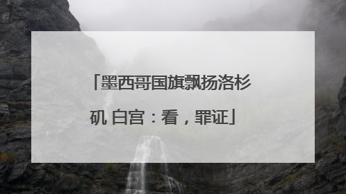 墨西哥国旗飘扬洛杉矶 白宫：看，罪证