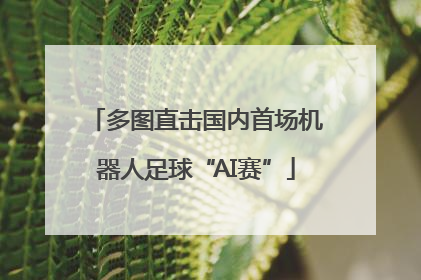 多图直击国内首场机器人足球“AI赛”
