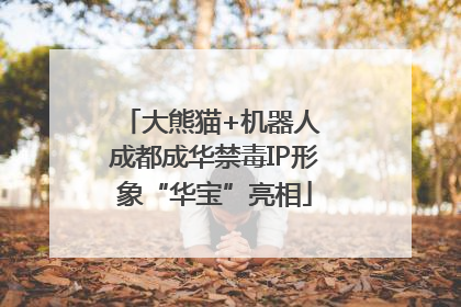 大熊猫+机器人 成都成华禁毒IP形象“华宝”亮相