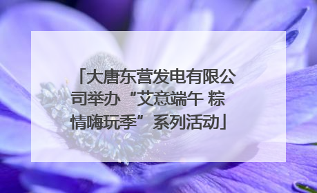大唐东营发电有限公司举办“艾意端午 粽情嗨玩季”系列活动