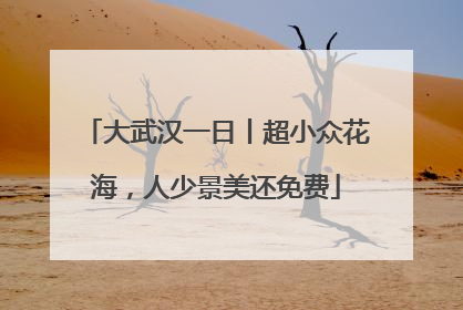 大武汉一日丨超小众花海，人少景美还免费