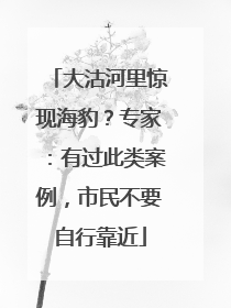 大沽河里惊现海豹？专家：有过此类案例，市民不要自行靠近