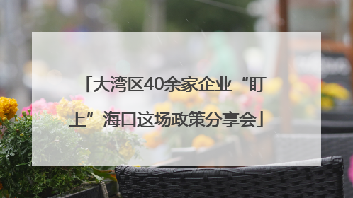 大湾区40余家企业“盯上”海口这场政策分享会