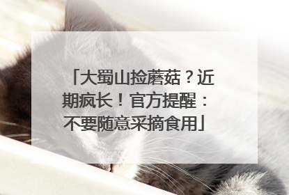 大蜀山捡蘑菇？近期疯长！官方提醒：不要随意采摘食用