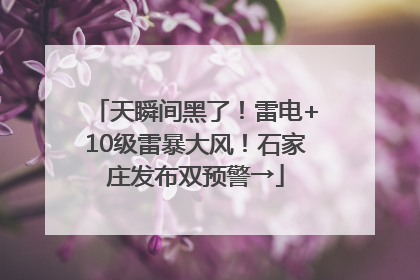 天瞬间黑了！雷电+10级雷暴大风！石家庄发布双预警→