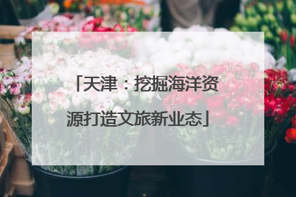 天津：挖掘海洋资源打造文旅新业态